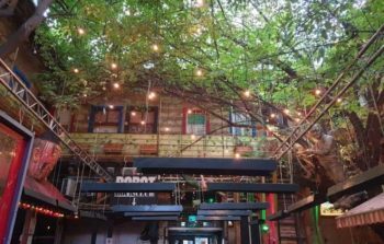 Open roof ruin bar with lights hanging from an overhanging tree.
